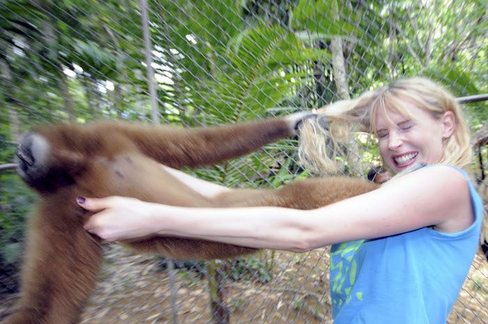 Elischeba kämpft mit Affe im Asia Safari Park