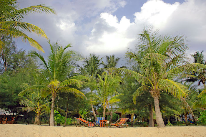 auf eigene Faust die Insel entdecken - Palmen am Strand
