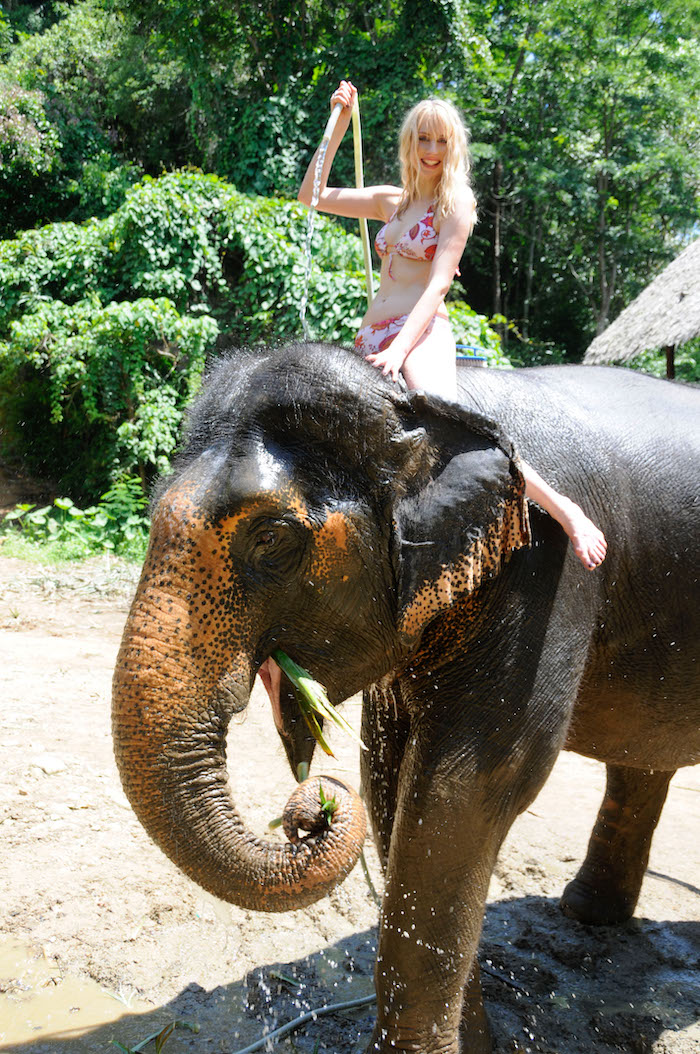 Elischeba Wilde im Bikini auf Elefant - Elefant waschen