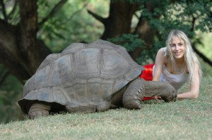 schildkroete_mit_model