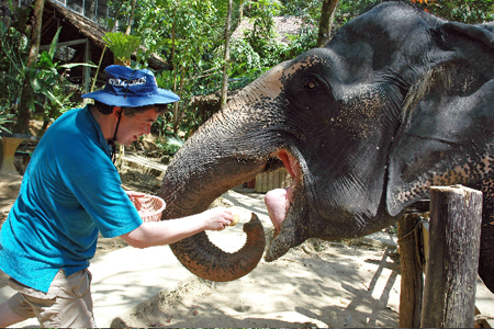 elefanten_fuettern_kinder