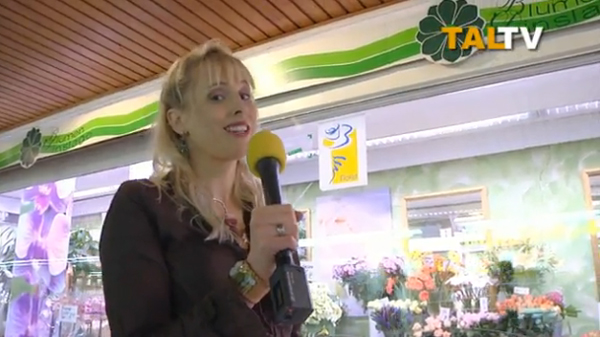 Neue Folge aus der Serie „Elischebas Welt“ online