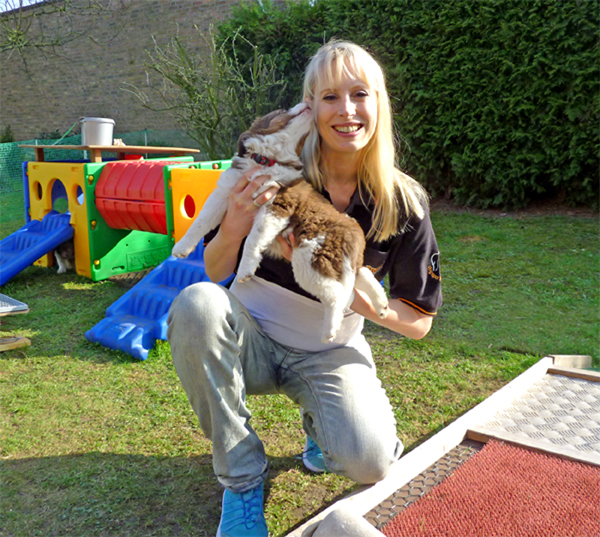 Elischeba mit American Mini Shepard