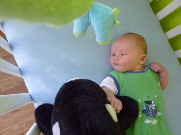 Leon im Kinderzimmer Leon im Kinderzimmer