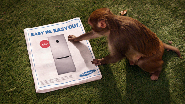 Inspiration_Pack_Samsung_Monkey_Thief_600