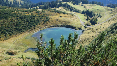 654925_web_R_K_by_Torben-Mueller_pixelio.de