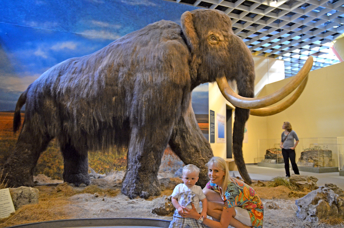 Mammut im Museum - Elischeba und Leon