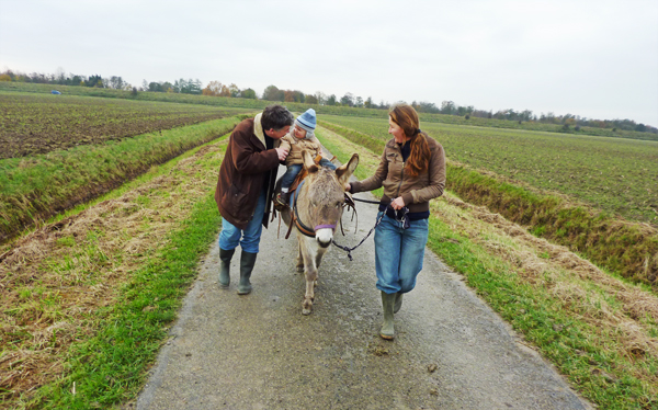 pierre wilde zeeland