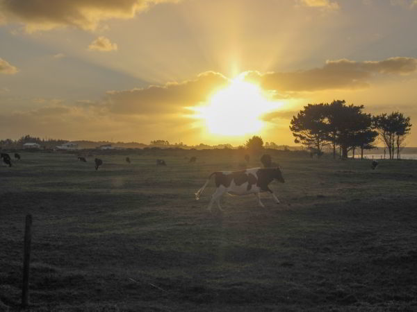 Neuseeland-erleben_info_1