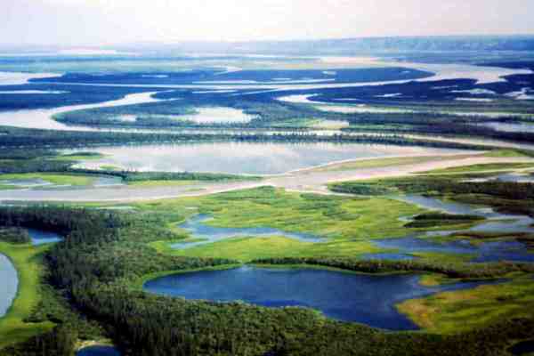 My beautiful picture