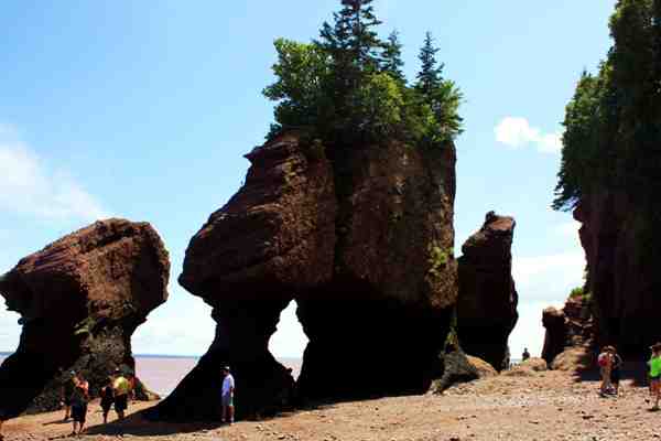 hopewell-rocks