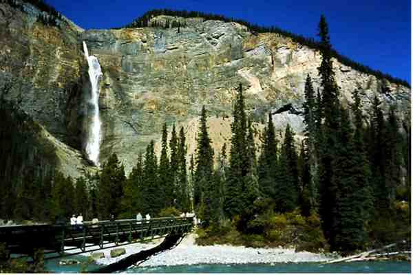 My beautiful picture