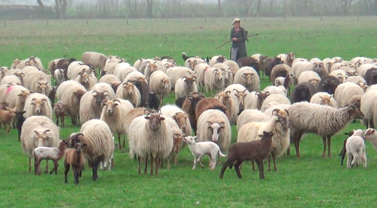 Bildschirmfoto 2014-04-12 um 22.29.17