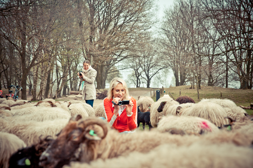 FSD_2014_Freiseindesign_Holland_Travel_Nature_Tour_Koga-3838