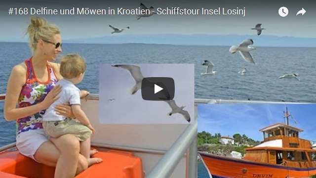 ElischebaTV_168_640x360 Delphine und Möwen in Kroatien