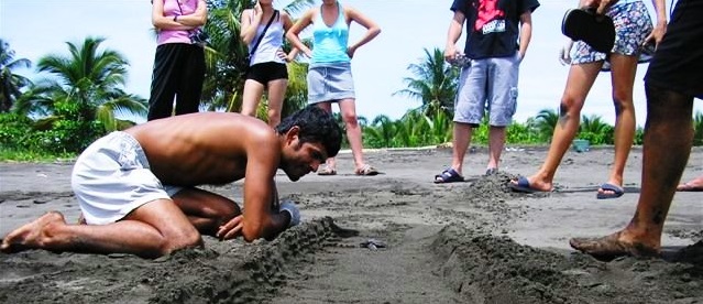 Freiwilligenarbeit Costa Rica Schildkröte (c) Anja Knorr (1)