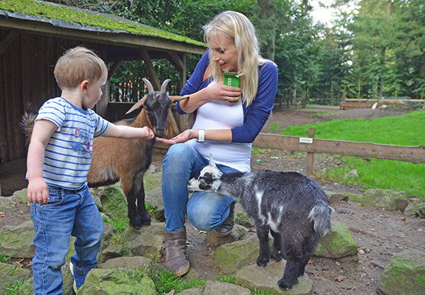 Elischeba Leon Ziegen fuettern
