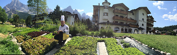 Gemuesegarten Hotel Vienna