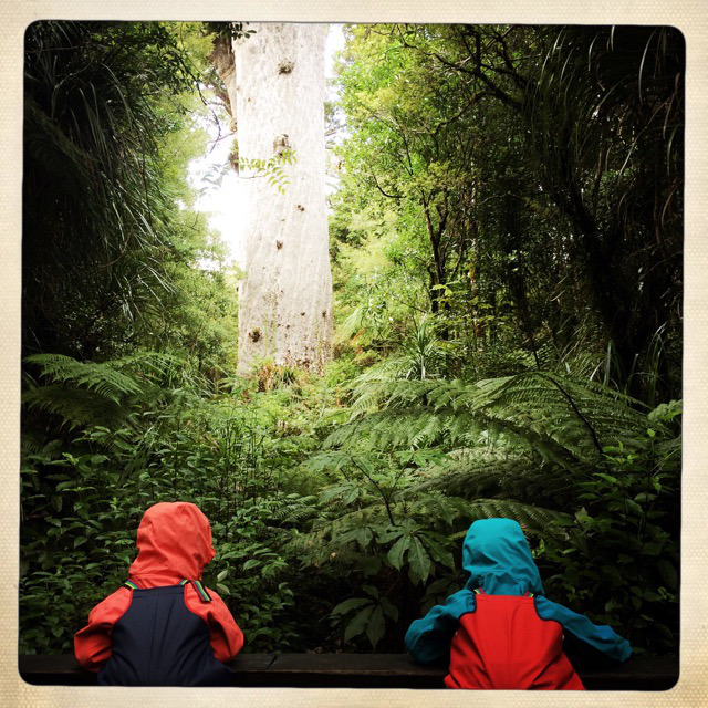 landschaft neuseeland