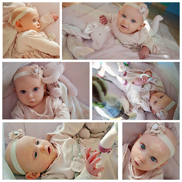 bunnies by the bay 2015