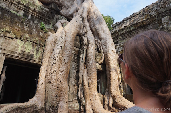Angkor_TaProhm_Kambodscha