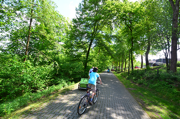 radfahren im Grünen