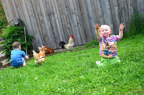 Urlaub auf dem Bauernhof