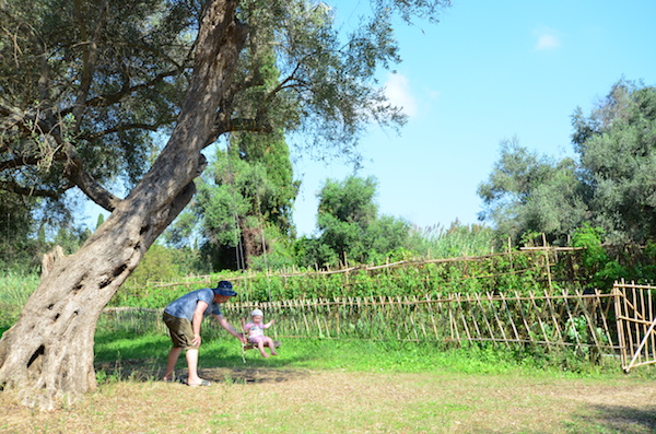 Garten mit Schaukel am Baum