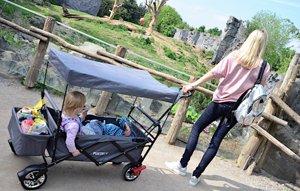 FUXTEC Bollerwagen FX CT500