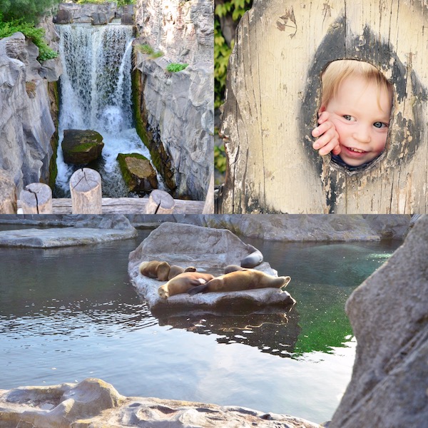 Alaska im ZOOM in Gelsenkirchen