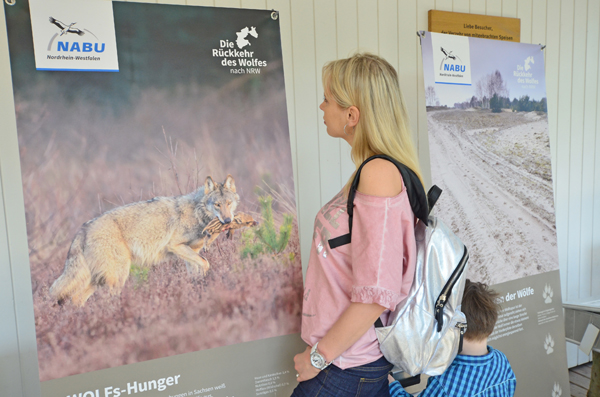 Wolf Ausstellung NRW