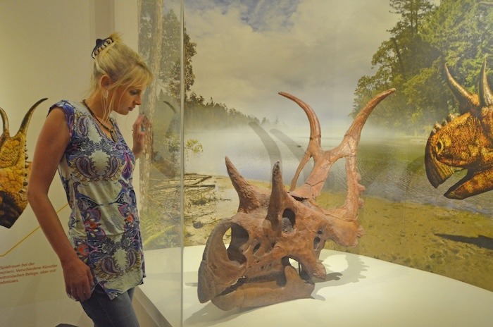 Elischeba Wilde im Dinosauriermuseum