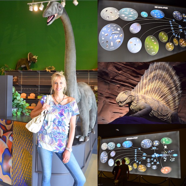 Dinosaurier Museum