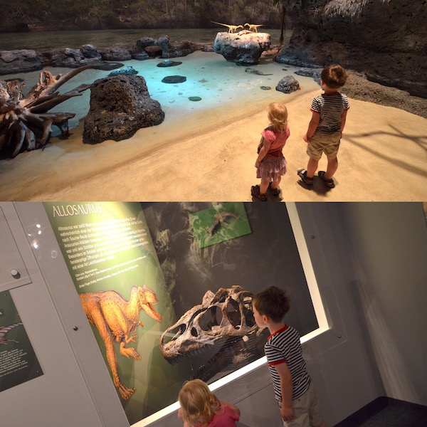 Museum mit Dinos