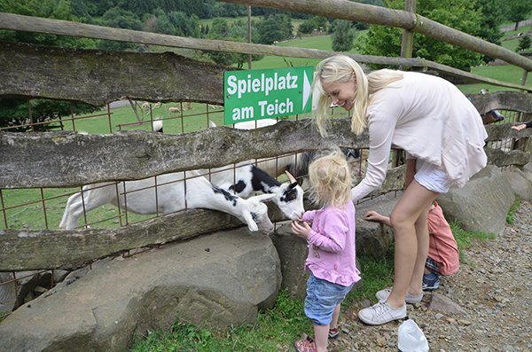 Tierpark im Saarland