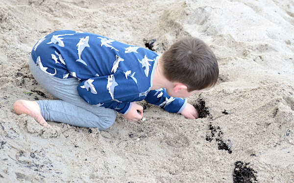 Das letzte Jahr im Kindergarten – was ist anders?