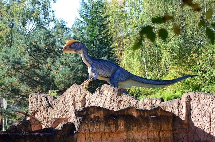 Dinosaurier Liebe - Dinopark Münchehagen