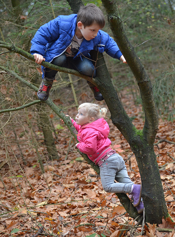 im Baum klettern