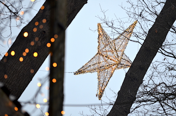 Stern Waldweihnachtsmarkt