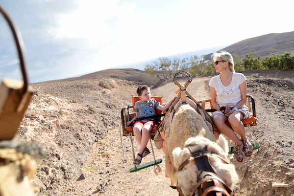 Kamelreiten auf Fuerteventura