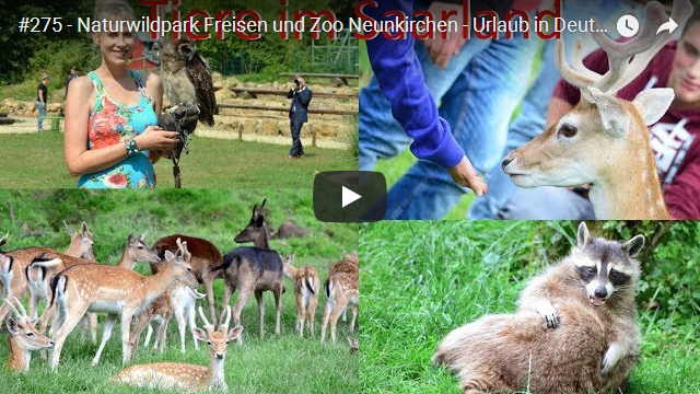 ElischebaTV_275_640x360 Naturwildpark Freisen Zoo Neunkirchen Saarland