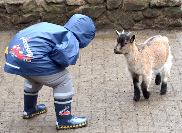Playshoes Wildpark Shooting