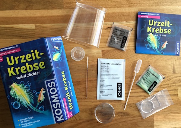 Set zum Urkrebse züchten