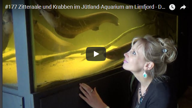 ElischebaTV_177_640x360 Jütland Aquarium am Limfjord in Dänemark