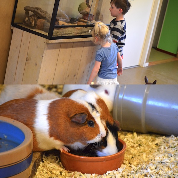 Kinderboerderijen-Zwolle