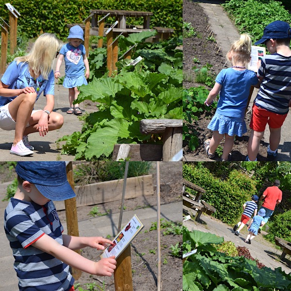 Gemüsegarten in Zwolle