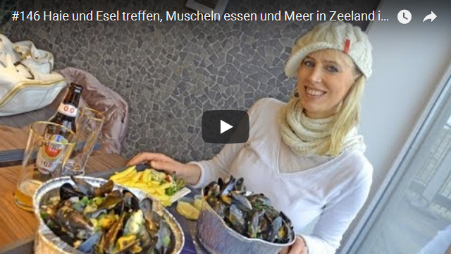 ElischebaTV_146_640x360 Muscheln essen in Zeeland