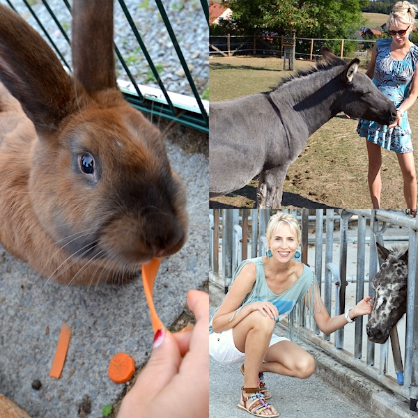 Tiere im Familotel Sauerland