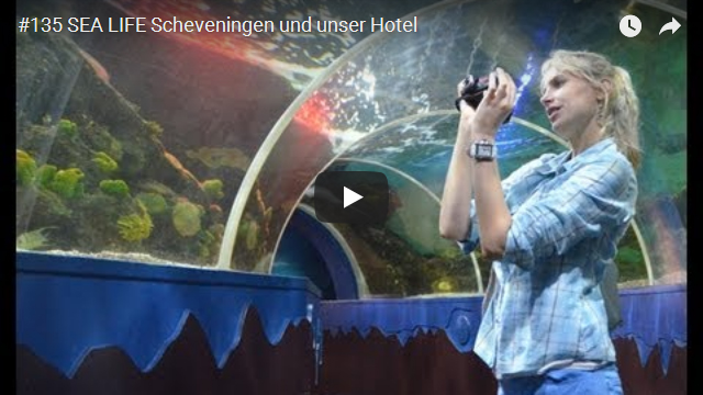 ElischebaTV_135_640x360 SEA LIVE Scheveningen