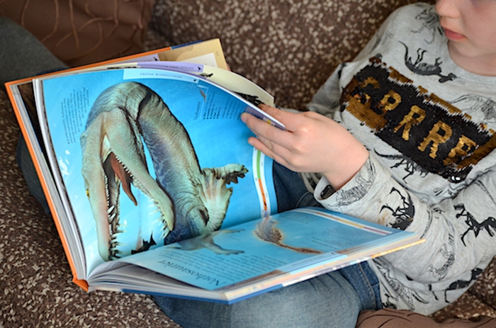Dinosaurier Buch für clevere Kids